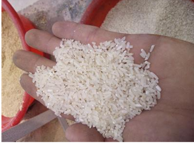 分离骨康碾米机 白米分离干净 脱皮碾米机生产