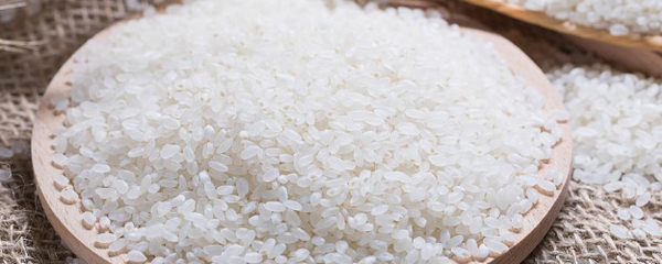 谷田稻香用的什么米
