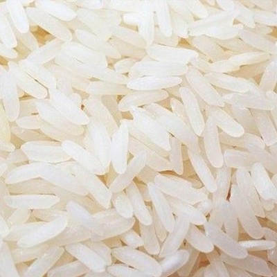 绿圆香晚米 水稻大米 优质大米 绿色原生态种植基地种植 大量批发