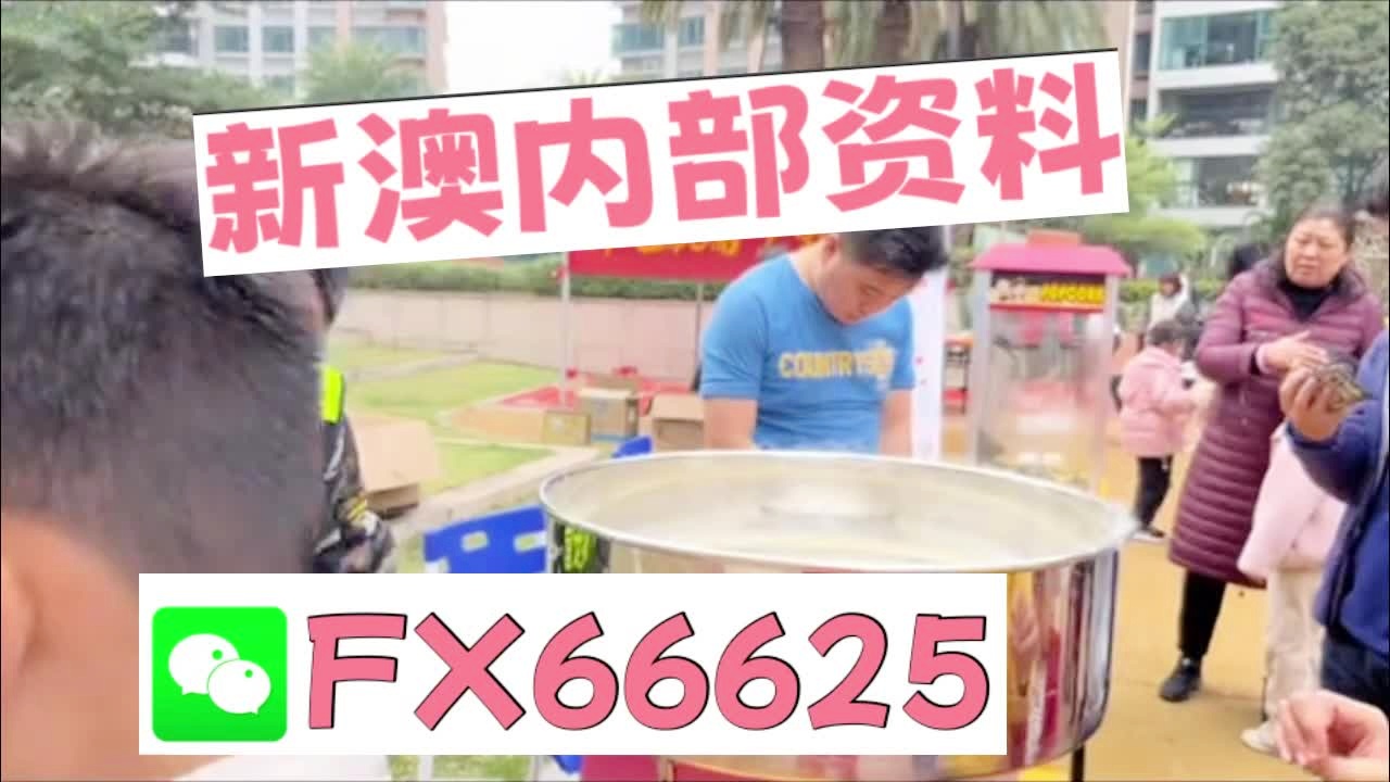 新澳天天彩資料大全最新版本陽(yáng)肖，探索與策略，新澳天天彩資料大全最新版本陽(yáng)肖，探索與策略揭秘