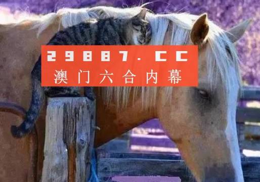 澳門一肖一碼一待一中四不像，探索與解析，澳門一肖一碼一待一中四不像，深度解析與探索