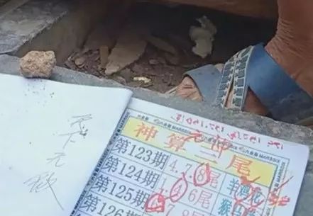 香港中特期期準(zhǔn)資料，深度解析與探索，香港中特期期準(zhǔn)資料深度解析與探索報(bào)告