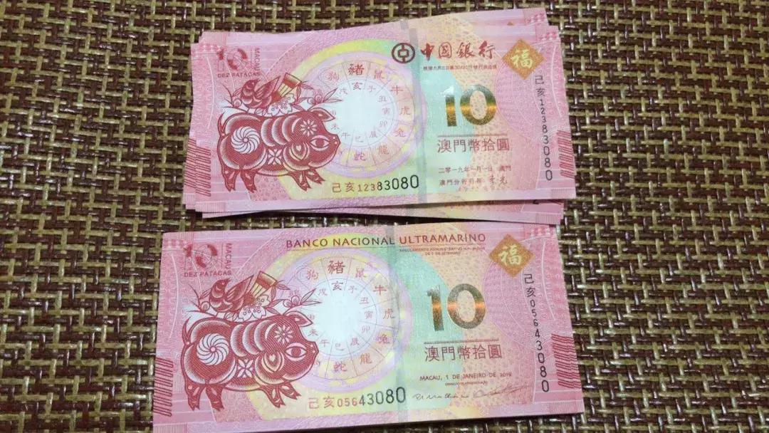 新澳門生肖走勢圖，深度解析與預(yù)測，澳門生肖走勢圖深度解析及預(yù)測報告