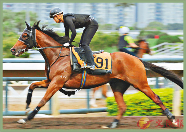 香港賽馬，探索數(shù)字背后的激情與榮耀，香港賽馬，數(shù)字背后的激情與榮耀之旅