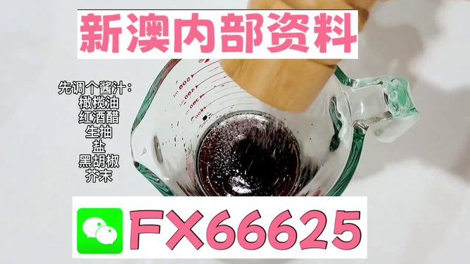 2025年新澳正版免費料，全面解析與獨家資訊，獨家解析，揭秘新澳正版免費料獨家資訊至2025年