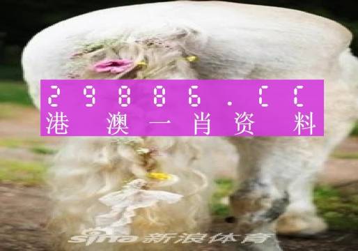 澳門羊了個(gè)羊與各大圖庫的資料揭秘，2023年澳門今晚必中一肖一碼永久免費(fèi)資料庫大解密，澳門羊了個(gè)羊與資料庫揭秘，2023年必中一肖一碼永久免費(fèi)資料大解密