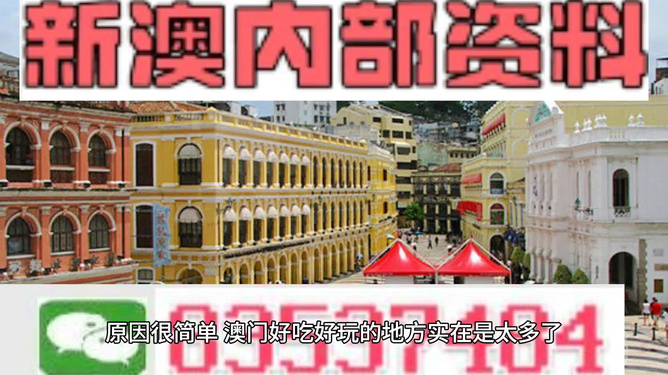 澳門精準資料大全免費，探索與解析，澳門精準資料大全免費解析探索