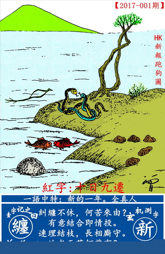 探索全新版跑狗圖，7777788888的魅力與策略，探索全新版跑狗圖，7777788888的魅力與攻略解析
