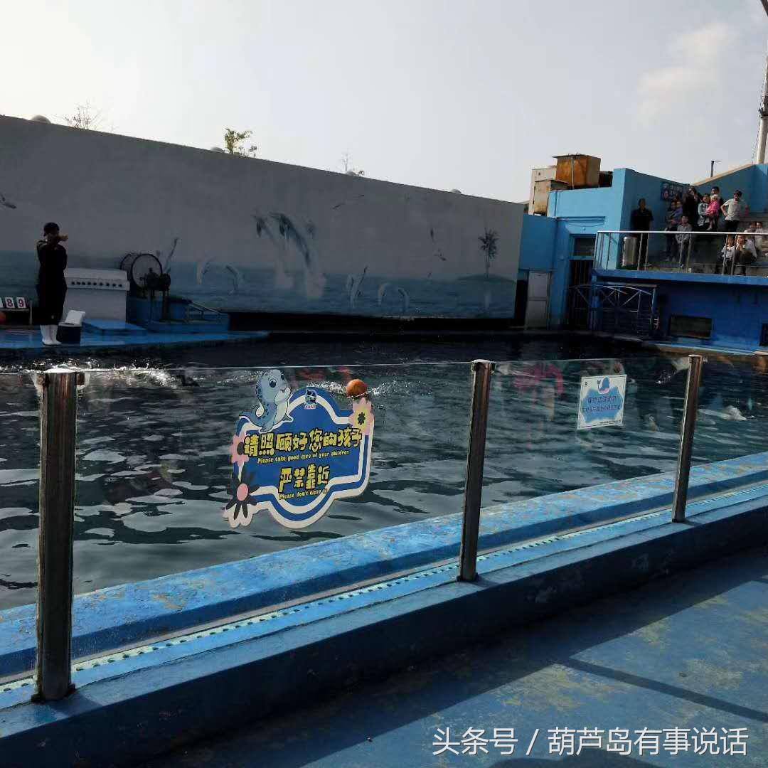 揭秘9點30分彩新澳，全方位解讀彩票新玩法，揭秘9點30分彩新澳，全方位解讀彩票新玩法攻略