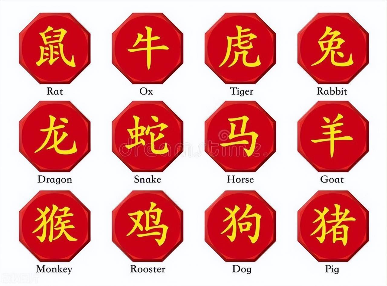 新澳特碼，羊牛虎各數(shù)10——揭秘背后的數(shù)字奧秘，揭秘新澳特碼數(shù)字奧秘，羊?；⒏鲾?shù)背后的秘密
