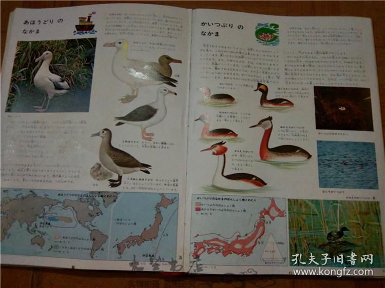財(cái)經(jīng) 第81頁