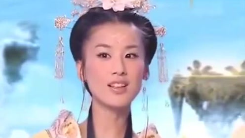 曾道道人資料免費大全，深度探索與解析，曾道道人資料深度解析與免費大全探索