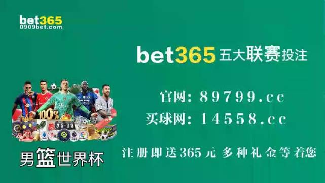 王中王中特馬王中王精準資料解析與SEO優(yōu)化策略探討，王中王中特馬精準資料解析與SEO策略探討