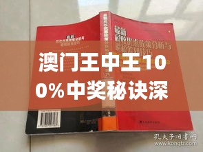 新澳門(mén)王中王期期中，探索與解析，新澳門(mén)王中王期期中，深度探索與解析
