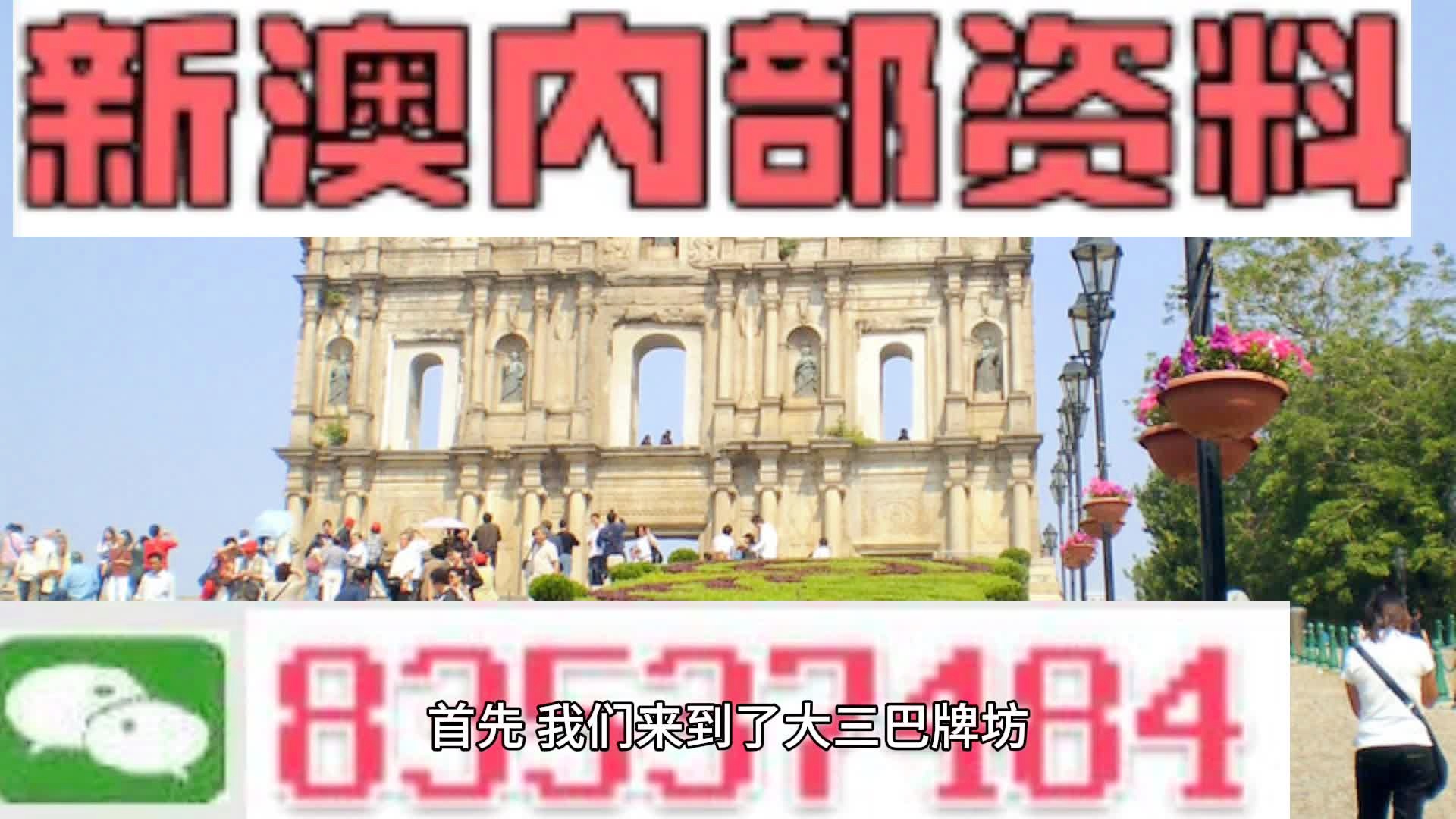 新澳持碼會資料詳解，新澳持碼會資料全面解析
