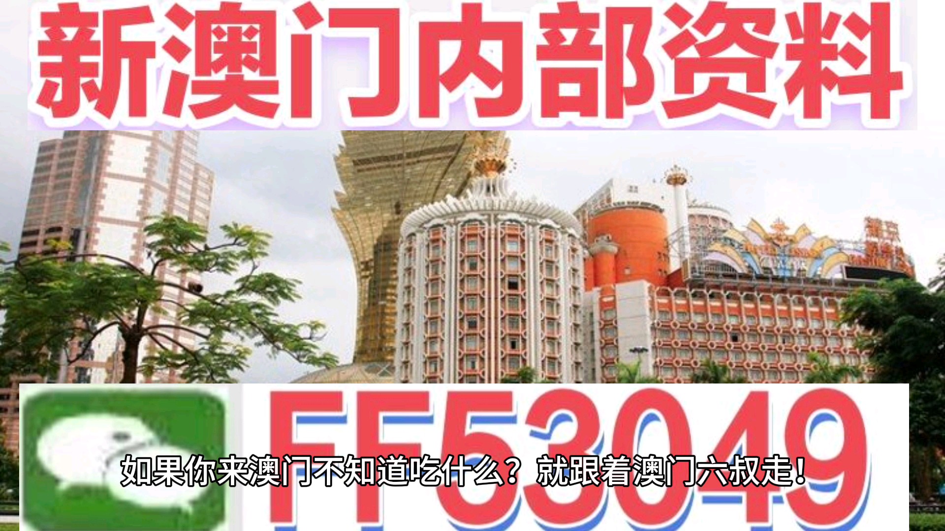 澳門今晚特馬生肖預(yù)測，探尋未來的幸運(yùn)符號(hào)（2025年），澳門生肖預(yù)測揭秘，探尋未來幸運(yùn)符號(hào)（特馬生肖預(yù)測 2025年展望）