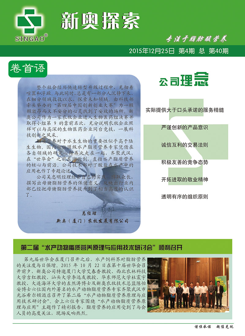 2025新澳正版資料查詢指南，2025新澳正版資料查詢手冊
