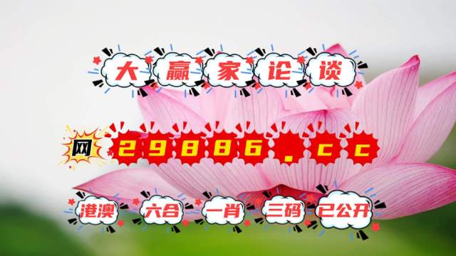 揭秘4887王中王精準資料，全方位解讀，洞悉其獨特魅力，揭秘，全方位解讀王中王精準資料，洞悉其獨特魅力
