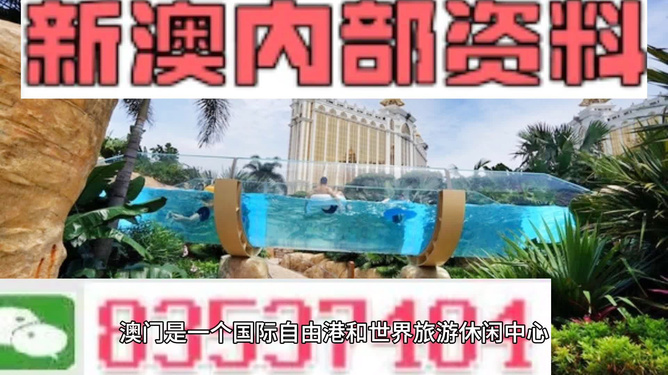 新澳的資料去哪里找——全面指南，新澳資料全攻略，尋找資料的途徑與指南