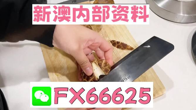 澳門九點半9點半網站——探索其魅力與優(yōu)勢，澳門九點半網站，魅力與優(yōu)勢探索
