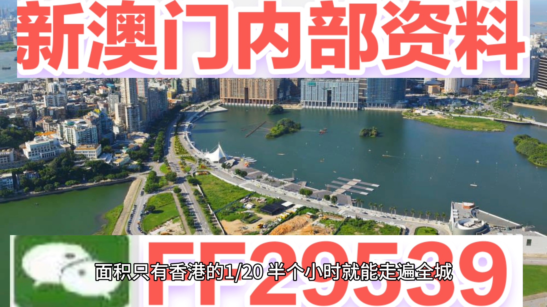 澳門特碼，探索其背后的秘密與魅力，澳門特碼背后的秘密與魅力探索