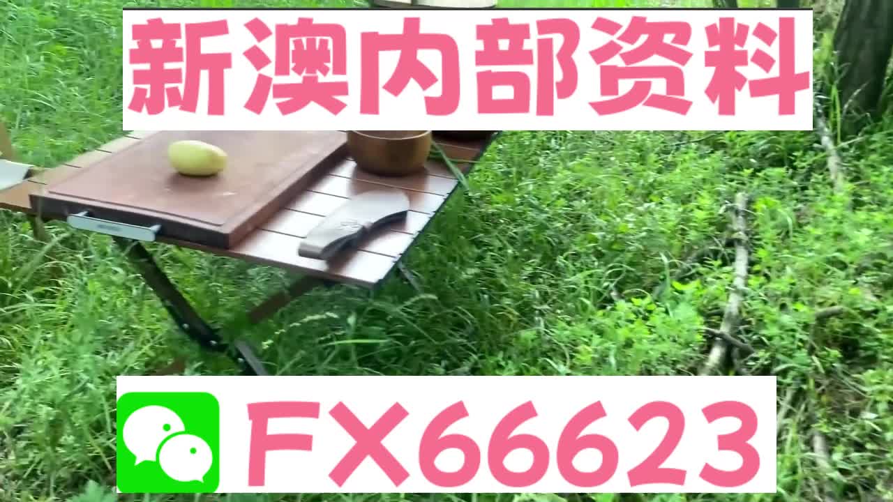 新奧特碼走勢圖解析與預測，新奧特碼走勢圖解析與預測，未來趨勢探討