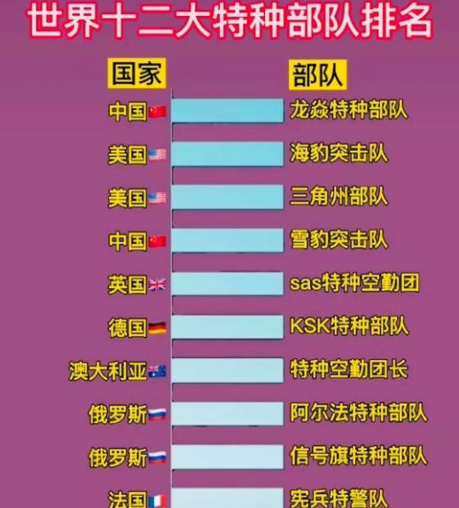 中國(guó)十大王牌特種部隊(duì)，實(shí)力與榮耀的象征，中國(guó)十大王牌特種部隊(duì)，實(shí)力與榮耀的巔峰標(biāo)志