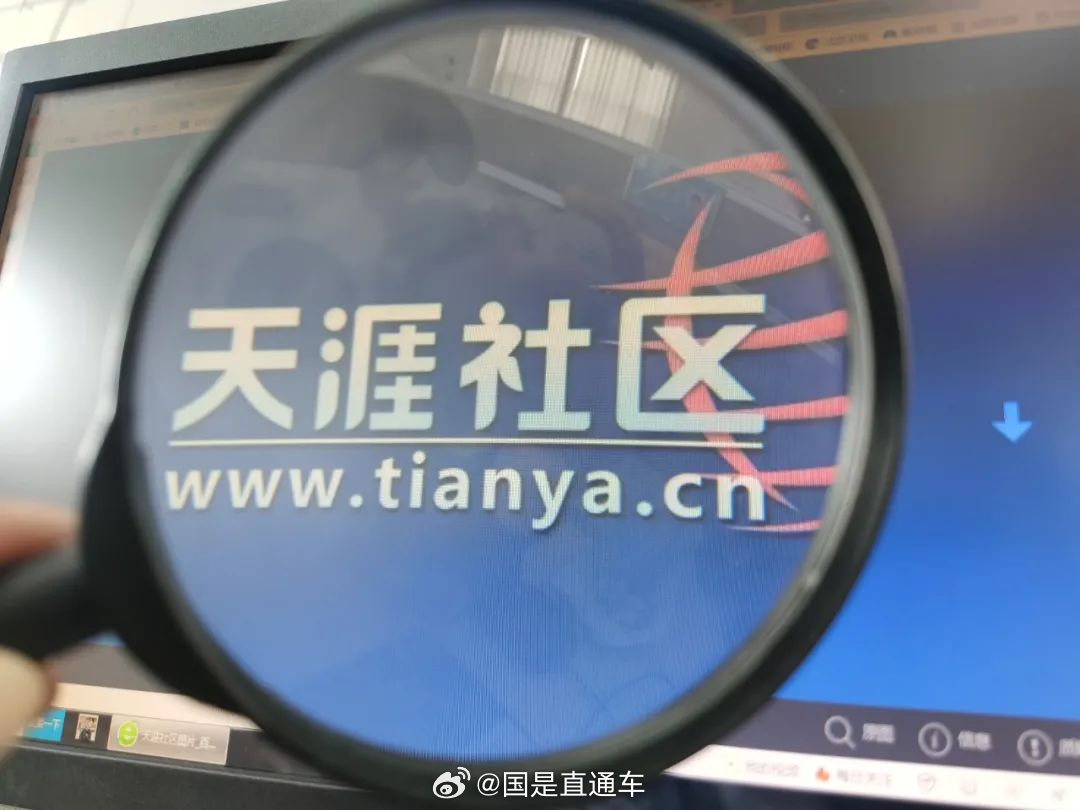 天涯國際觀察，全球視野下的深度分析與洞察，全球深度洞察，天涯國際觀察分析