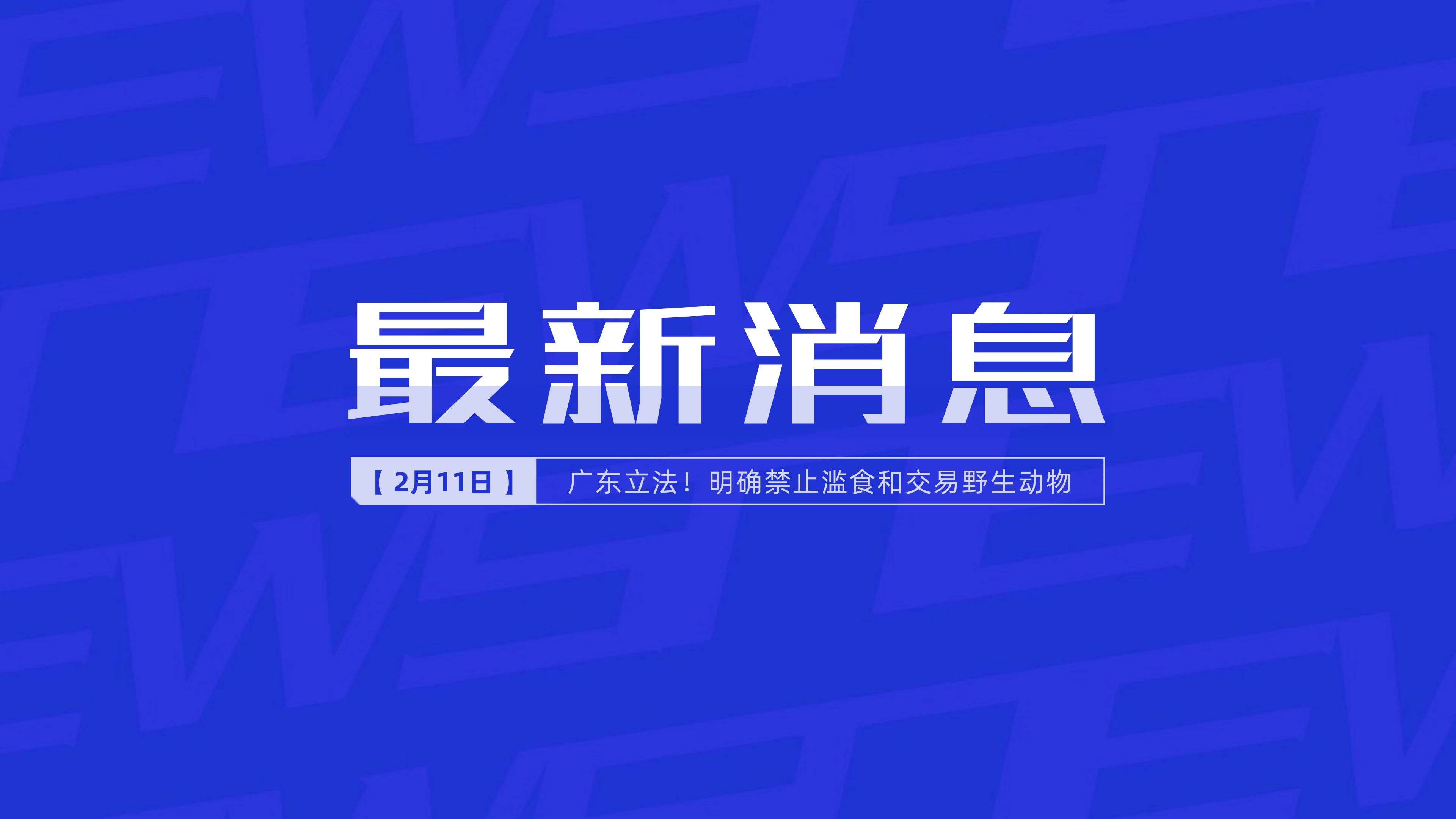 新聞最新新聞，掌握時事熱點，洞悉世界動態(tài)，時事熱點速遞，掌握全球最新動態(tài)新聞