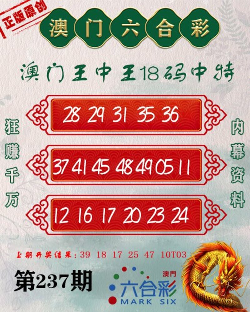 新澳門王中王期期中，探索與解析，新澳門王中王期期中，深度探索與解析