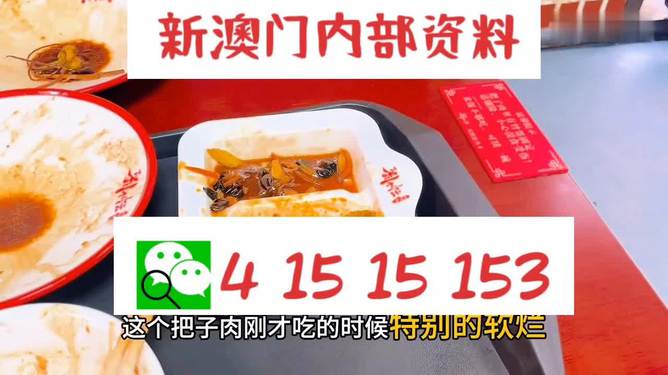 澳門王中王六碼新澳門，探索與解析，澳門王中王六碼新澳門，深度探索與解析
