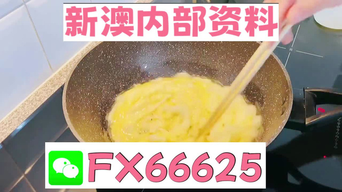 澳門九點半9點半網(wǎng)站——探索與體驗，澳門九點半網(wǎng)站，探索與體驗之旅