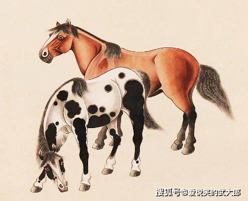 香港四不像一肖生肖圖，揭秘背后的神秘文化，香港四不像一肖生肖圖，神秘文化背后的揭秘