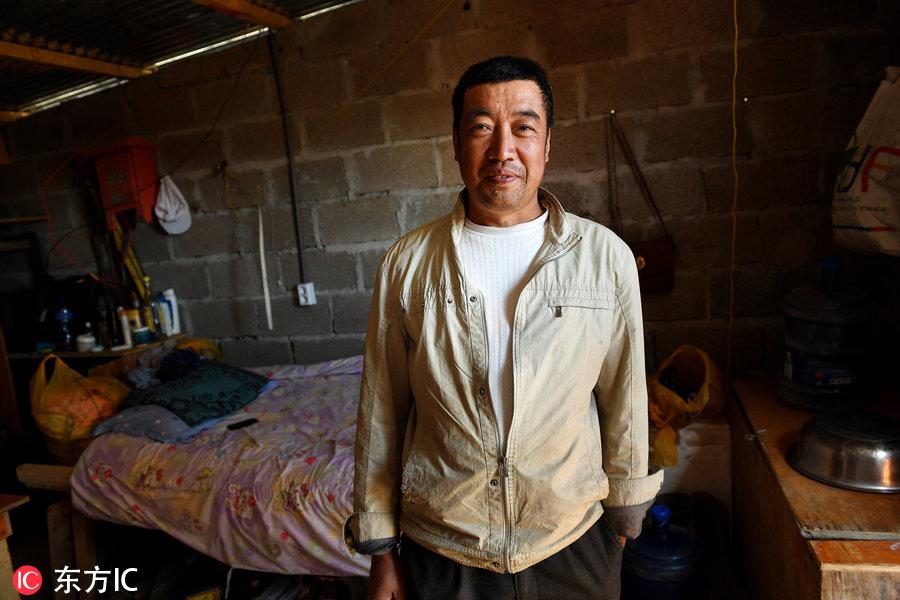 博科圣地組織，深度解析與理解，博科圣地組織深度解析與探究