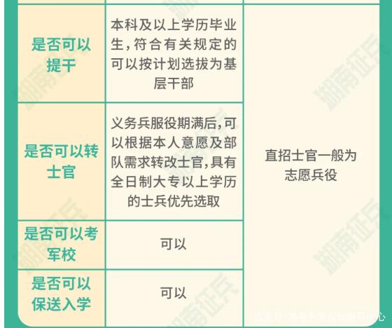 士官直招與義務(wù)兵的區(qū)別，深入了解軍隊(duì)招募制度，直招士官與義務(wù)兵招募制度深度解析，軍隊(duì)招募制度詳解