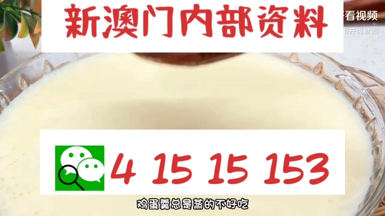 新澳門中特網(wǎng)中特馬，探索與解析，澳門中特馬探索與解析指南