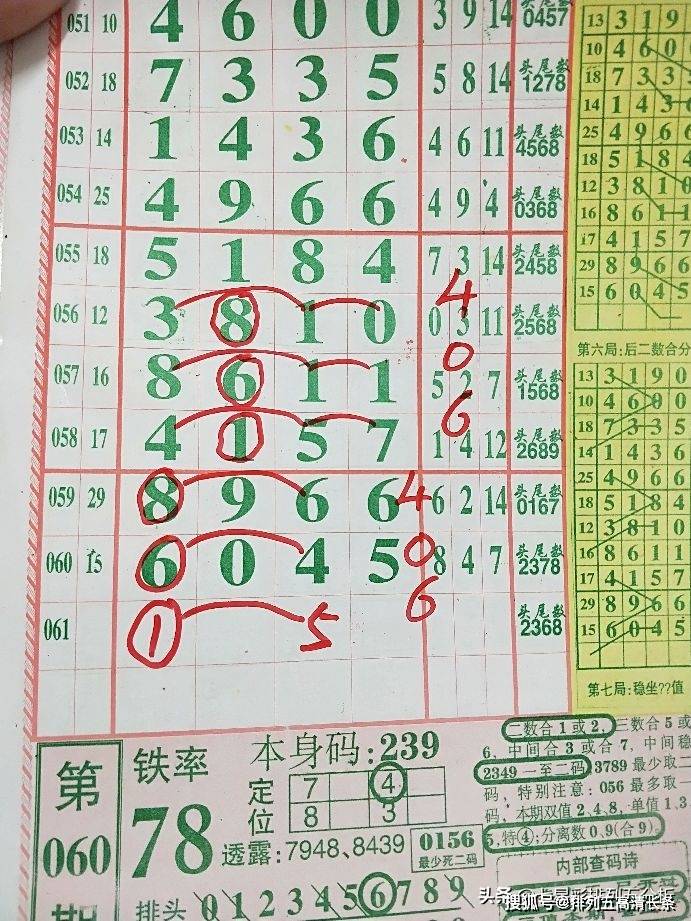平特肖推算法，探索搜索引擎優(yōu)化的新境界，平特肖推算法，開啟搜索引擎優(yōu)化新境界的探索之旅