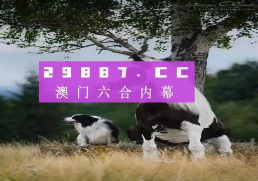 澳門(mén)正版全資料，探索2021年的無(wú)限可能，澳門(mén)正版全資料揭秘，2021年無(wú)限可能的探索