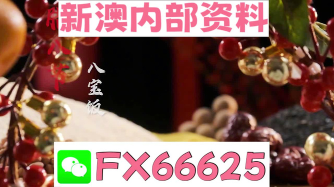 2024澳門正版精準免費資料大揭秘，澳門正版精準免費資料大揭秘，揭秘未來預測與秘密情報
