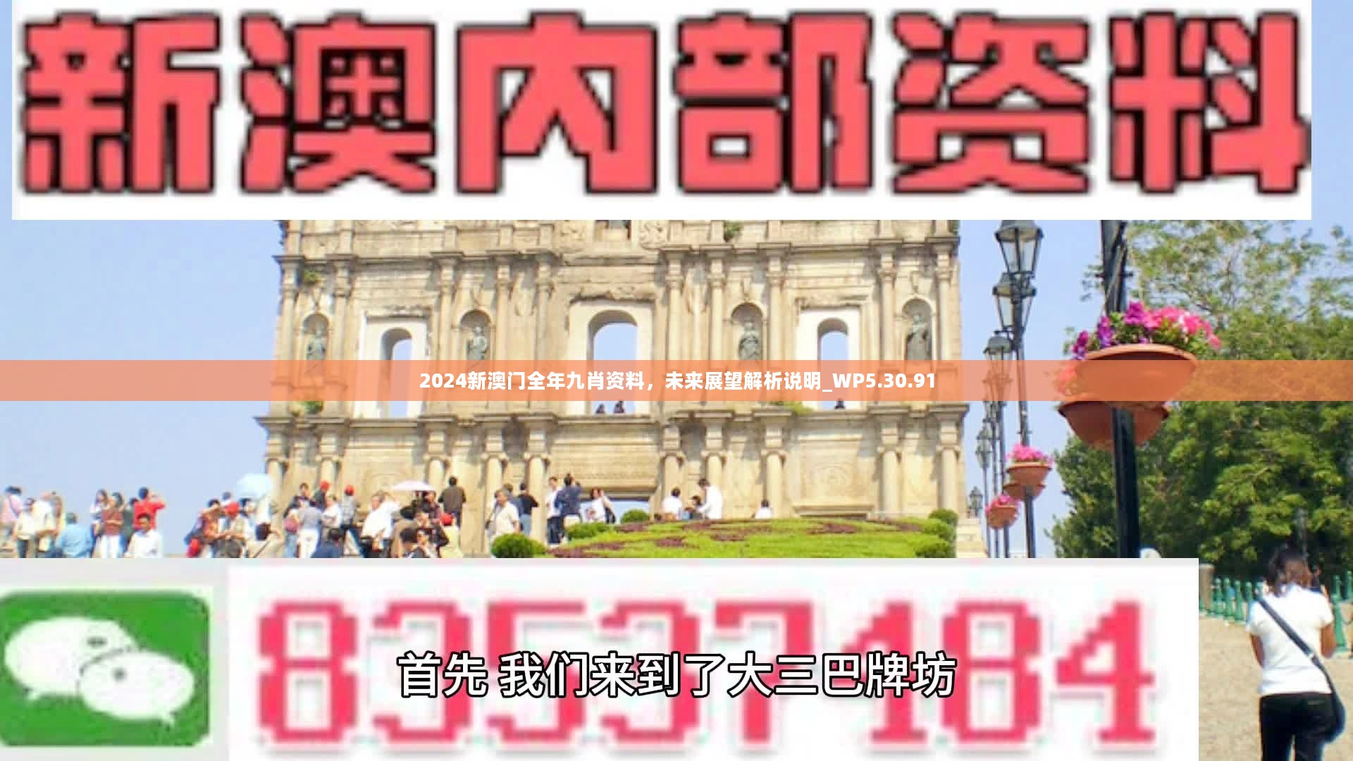 新澳門精準(zhǔn)九肖，揭秘預(yù)測(cè)技巧與策略，揭秘新澳門精準(zhǔn)九肖預(yù)測(cè)技巧與策略
