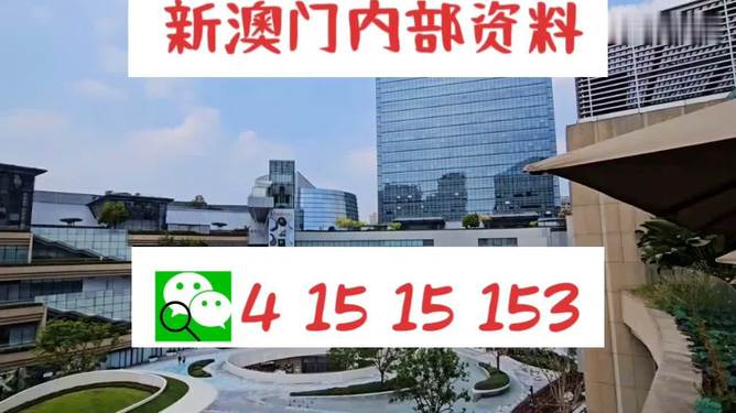 新澳門單雙，探索數(shù)字世界的奧秘與魅力，澳門數(shù)字世界的奧秘與魅力探索，單雙數(shù)的奇幻之旅