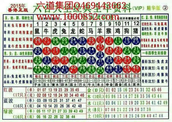 揭秘2024十二生肖49碼表——完整指南，揭秘十二生肖49碼表全攻略，2024年最新版指南