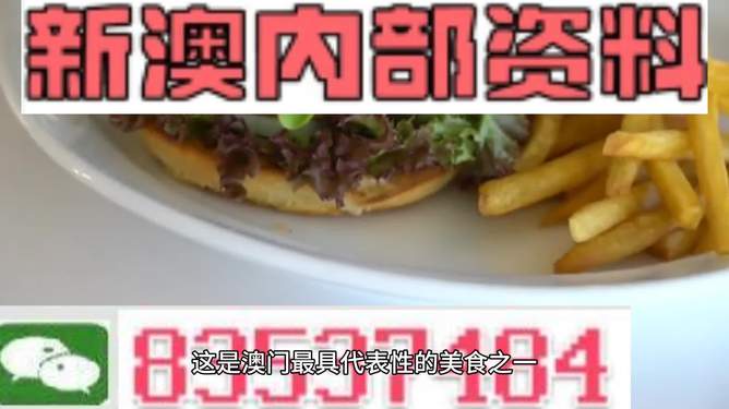新澳2024生肖最新資料解析與預(yù)測，新澳2024生肖解析與預(yù)測報告