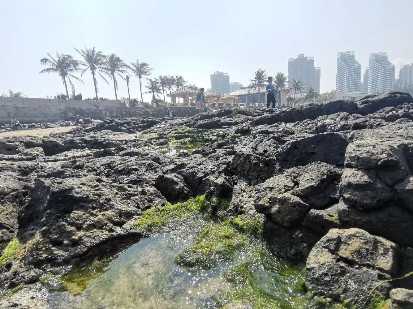解放海南島電視劇全集下載，探尋30集完整劇情，解放海南島電視劇全集下載，探尋完整的30集劇情探索