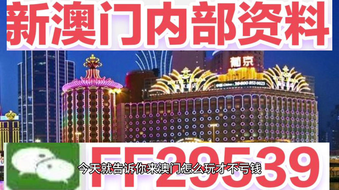 澳門今晚必開一肖——揭秘生肖彩票的魅力與策略，澳門生肖彩票揭秘，策略與魅力探索
