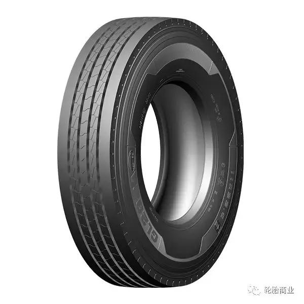 王中王295期指一生肖，揭秘生肖運勢與預測背后的秘密，揭秘生肖運勢預測，王中王295期生肖運勢背后的秘密探索