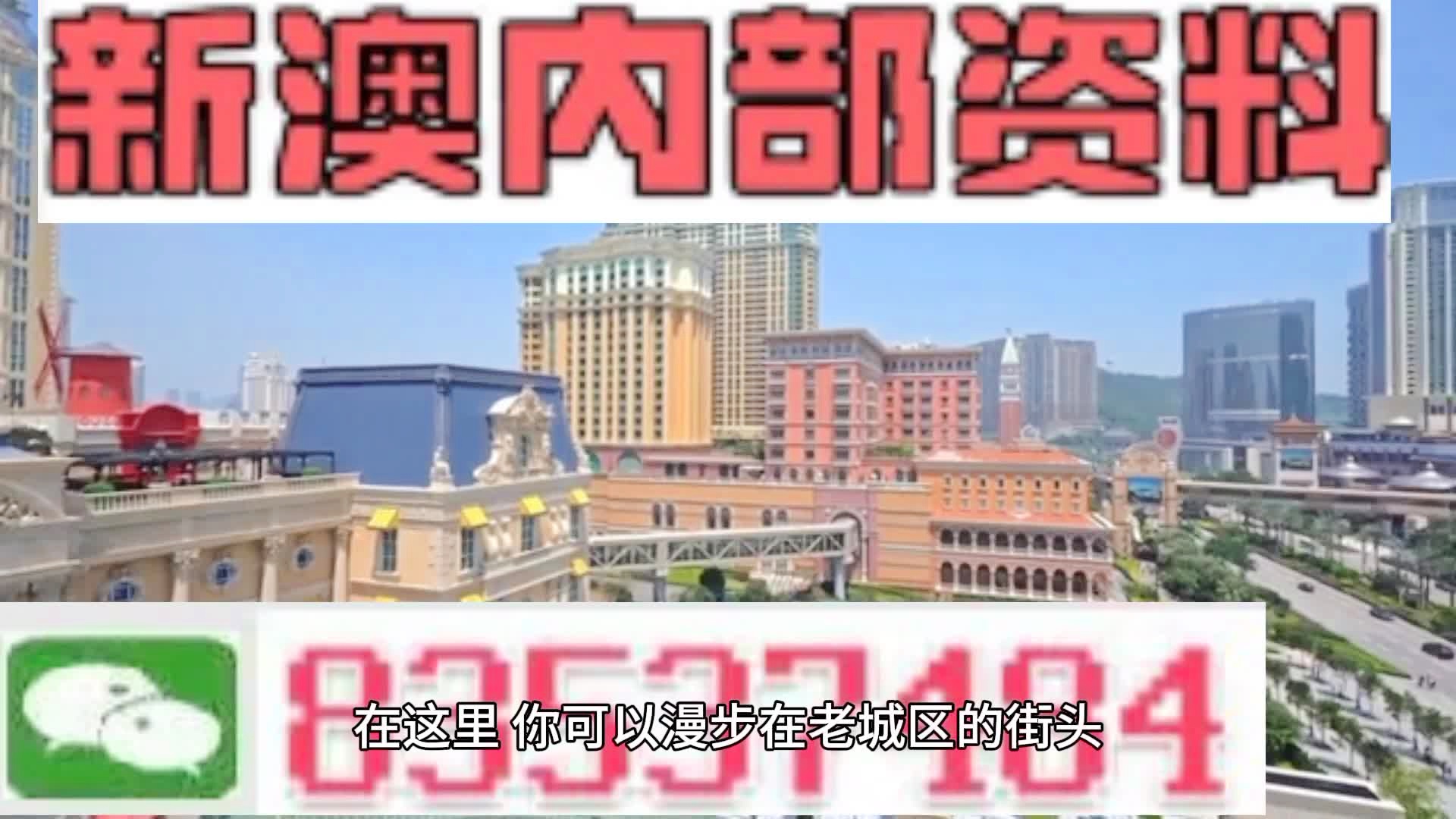新澳門期期準(zhǔn)精準(zhǔn)，探索澳門的未來(lái)與SEO策略，澳門未來(lái)展望與SEO策略探索，精準(zhǔn)瞄準(zhǔn)新機(jī)遇