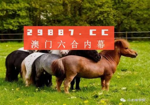 王中王四不像正版一肖中特圖，揭秘背后的秘密與獨(dú)特魅力，揭秘王中王四不像正版一肖中特圖的獨(dú)特魅力和背后秘密