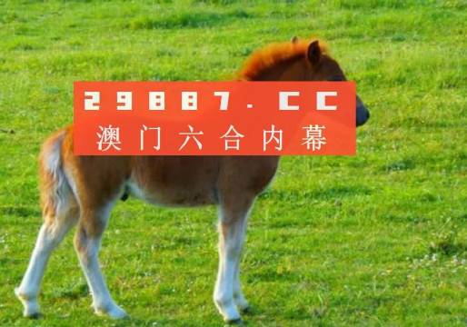澳門答家婆一肖一馬一中一特，揭秘背后的秘密與獨特文化魅力，澳門文化魅力深度解析，答家婆一肖一馬一中一特的獨特傳統(tǒng)與秘密