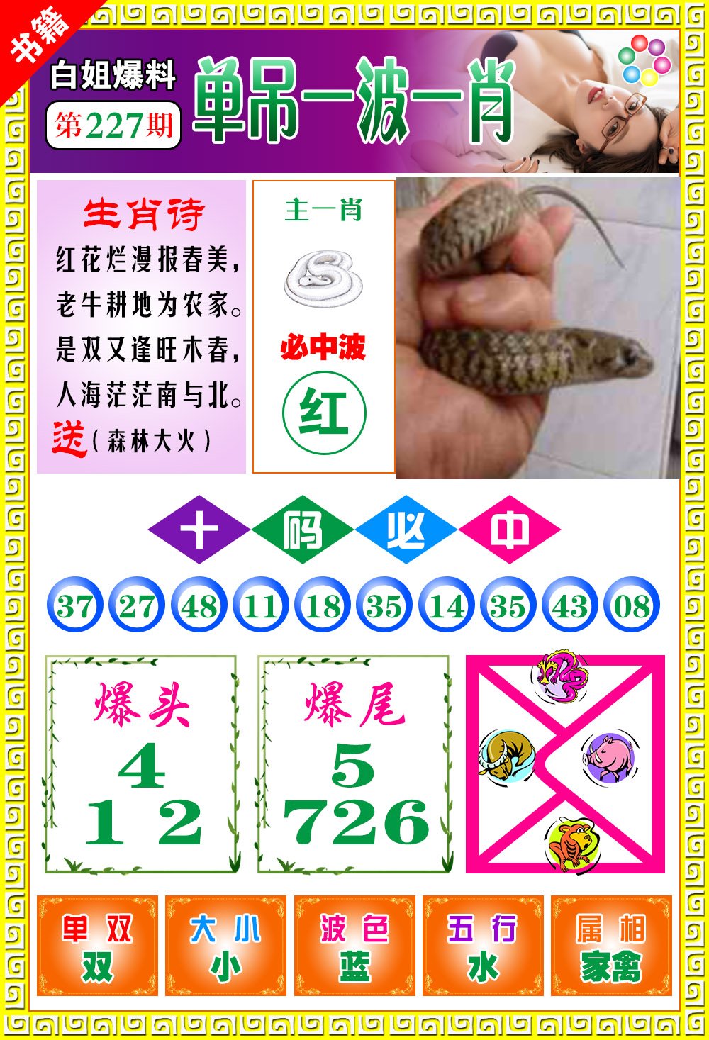 王中王100期期一肖，深度解析與SEO優(yōu)化策略，王中王100期期一肖深度解析與SEO策略全解析